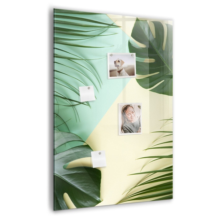 Tabla magnetica, Coloray, Montera tropicala, Verde, 70 x 100 cm, Magneti, Marker negru, 010640700080300088967