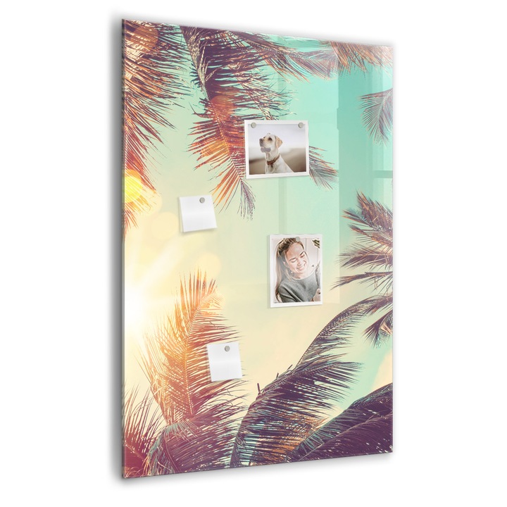 Tabla magnetica, Coloray, Palma tropicala, Multicolor, 70 x 100 cm, Magneti, Marker negru, 010640700080300088905