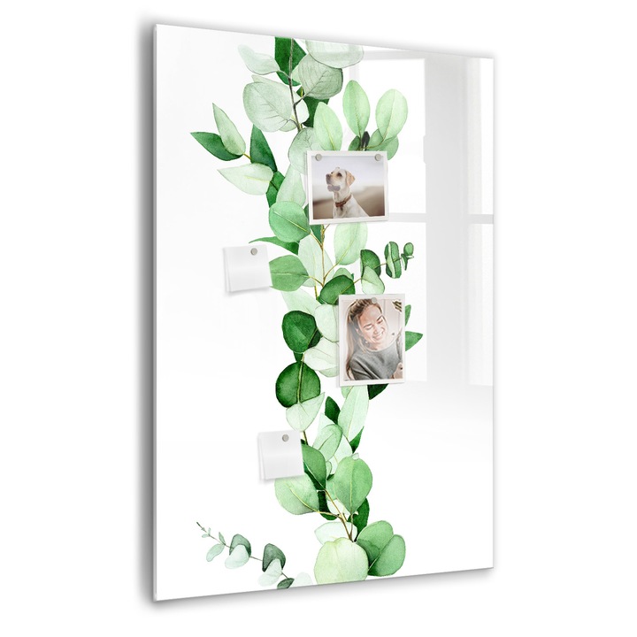 Tabla magnetica, Coloray, Plant Rush Frunze, Verde, 70 x 100 cm, Magneti, Marker negru, 010640700080300088878