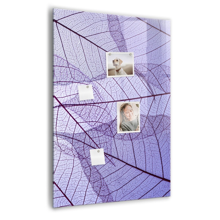 Tabla magnetica, Coloray, Textura frunzelor, Mov, 70 x 100 cm, Magneti, Marker negru, 010640700080300088871