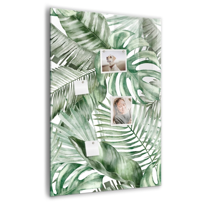 Tabla magnetica, Coloray, Frunze de acuarela, Verde, 70 x 100 cm, Magneti, Marker negru, 010640700080300088851