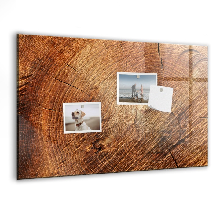 Tabla magnetica, Coloray, Trunchiul vechi al unui copac, Maro, 60x40 cm, Marker alb, Magneti, 010640700010400027232