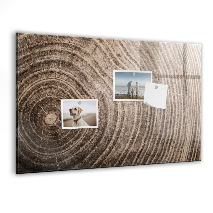 Tabla magnetica, Coloray, Trunchi de copac, Maro, 60x40 cm, Marker alb, Magneti, 010640700010400027374