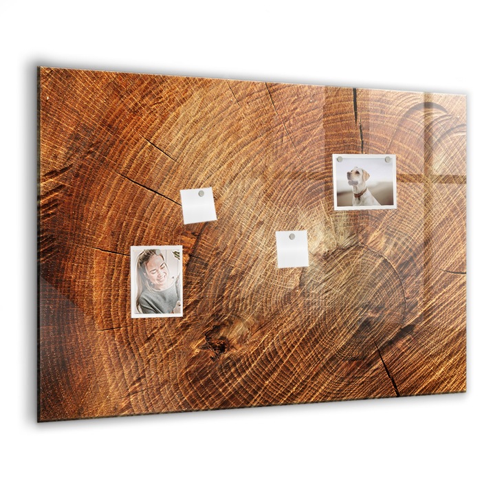 Tabla magnetica, Coloray, Trunchi batran de copac, Maro, 100x70 cm, Marker alb, Magneti, 010640700030400027232