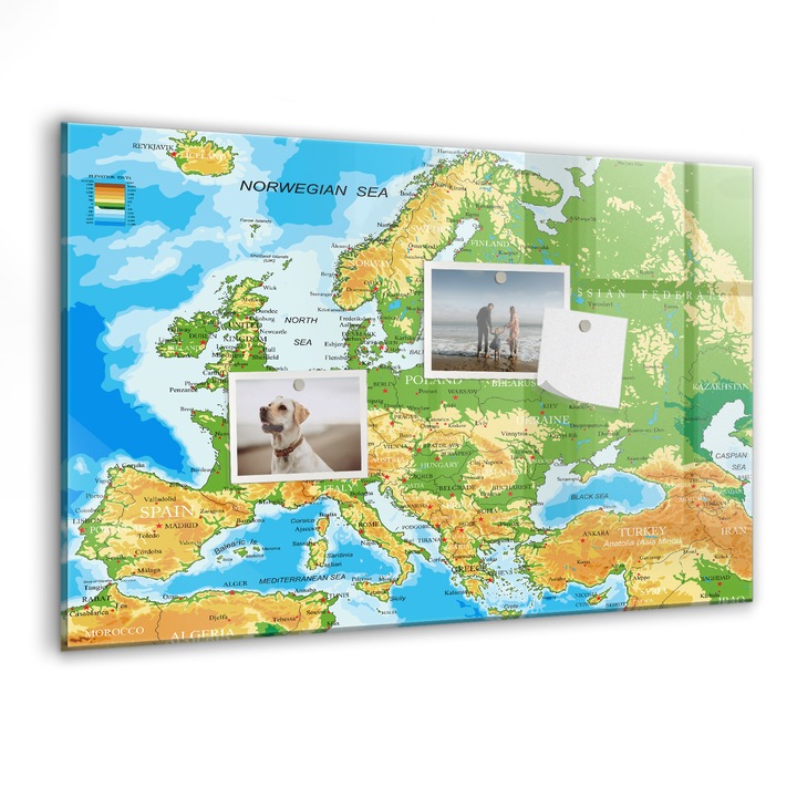 Tabla magnetica, Coloray, Harta lumii geografice, Multicolor, 60 x 40 cm, Magneti, Marker negru, 010640700010300088779