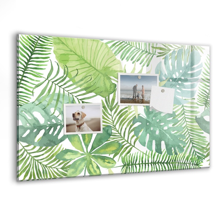 Tabla magnetica, Coloray, Frunze tropicale, Verde, 60 x 40 cm, Magneti, Marker negru, 010640700010300088773