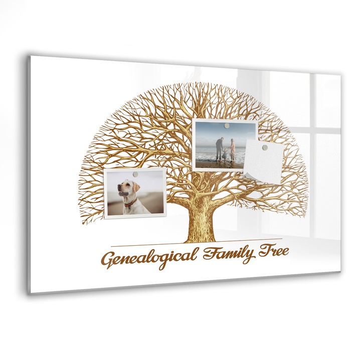 Tabla magnetica, Coloray, Arborele genealogic vechi, Alb, 60 x 40 cm, Magneti, Marker negru, 010640700010300088771