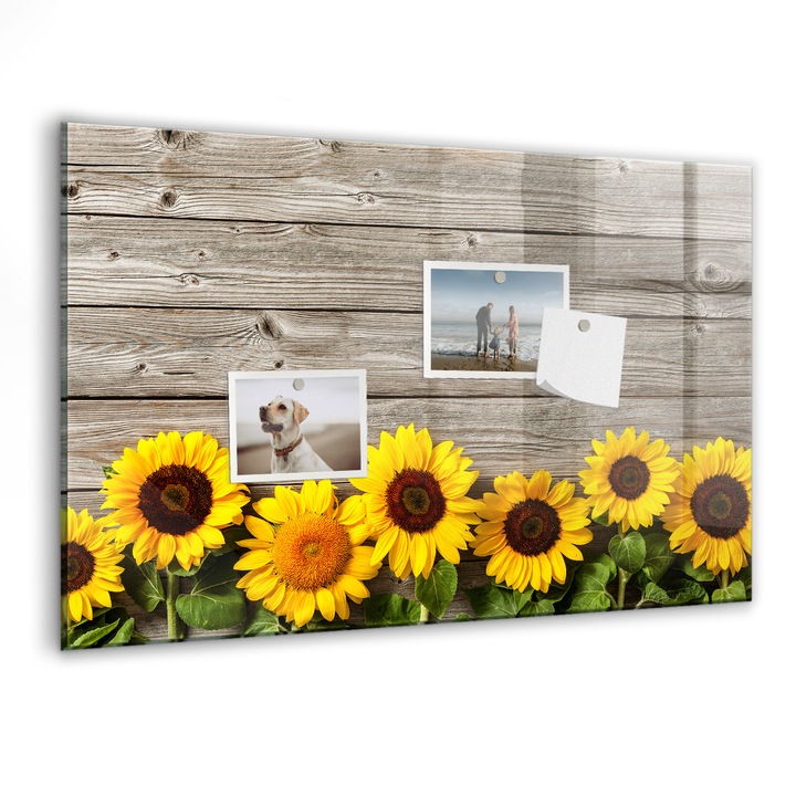 Tabla magnetica, Coloray, Floarea -soarelui, Multicolor, 60 x 40 cm, Magneti, Marker negru, 010640700010300088766