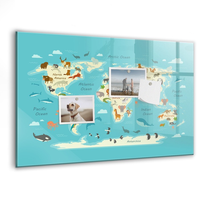Tabla magnetica, Coloray, Harta lumii animalelor, Albastru, 60 x 40 cm, Magneti, Marker negru, 010640700010300088727