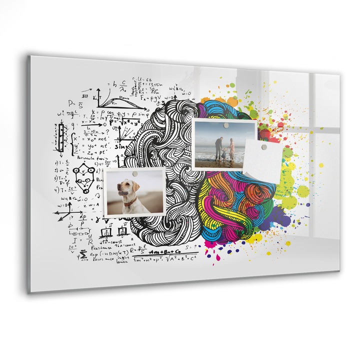 Tabla magnetica, Coloray, Abstractizarea creierului, Multicolor, 60 x 40 cm, Magneti, Marker negru, 010640700010300088699