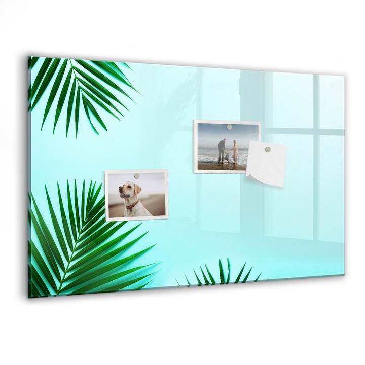 Tabla magnetica, Coloray, frunze de palmier, Verde, 60 x 40 cm, Magneti, Marker negru, 010640700010300260208