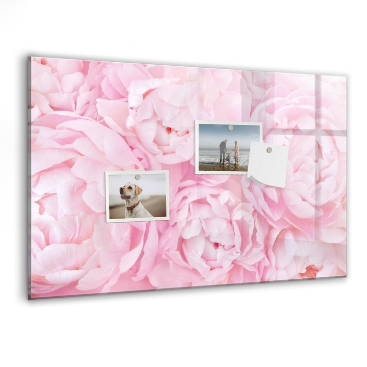 Tabla magnetica, Coloray, Flori inflorite, Roz, 60 x 40 cm, Magneti, Marker negru, 010640700010300088670