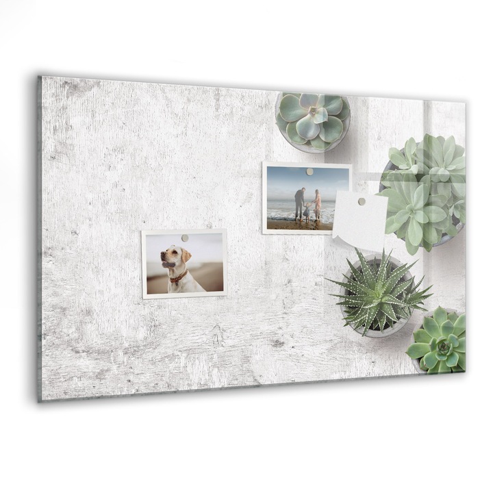 Tabla magnetica, Coloray, Plante decorative, Multicolor, 60 x 40 cm, Magneti, Marker negru, 010640700010300088653