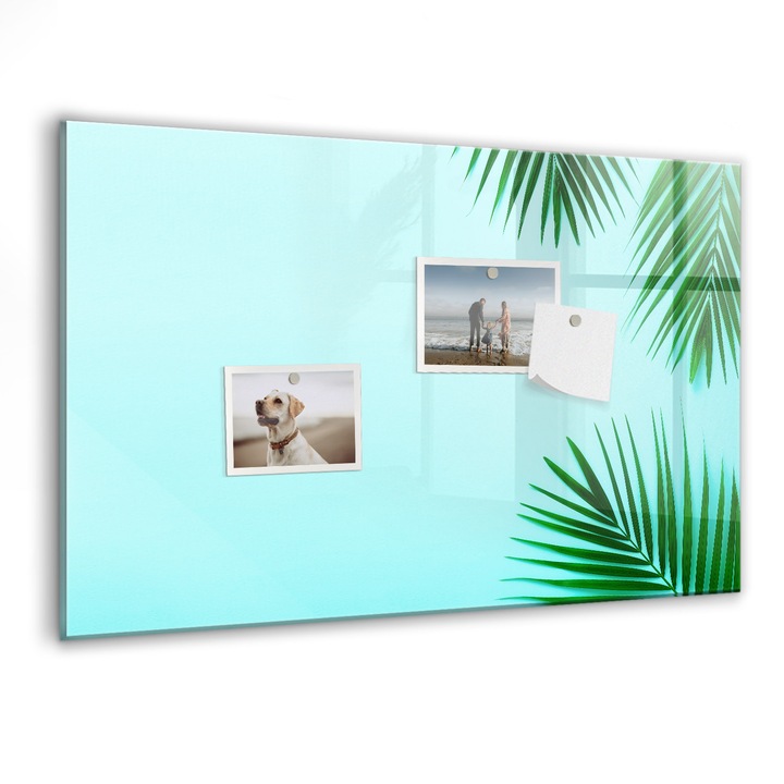 Tabla magnetica, Coloray, Frunze tropicale, Verde, 60 x 40 cm, Magneti, Marker negru, 010640700010300260209