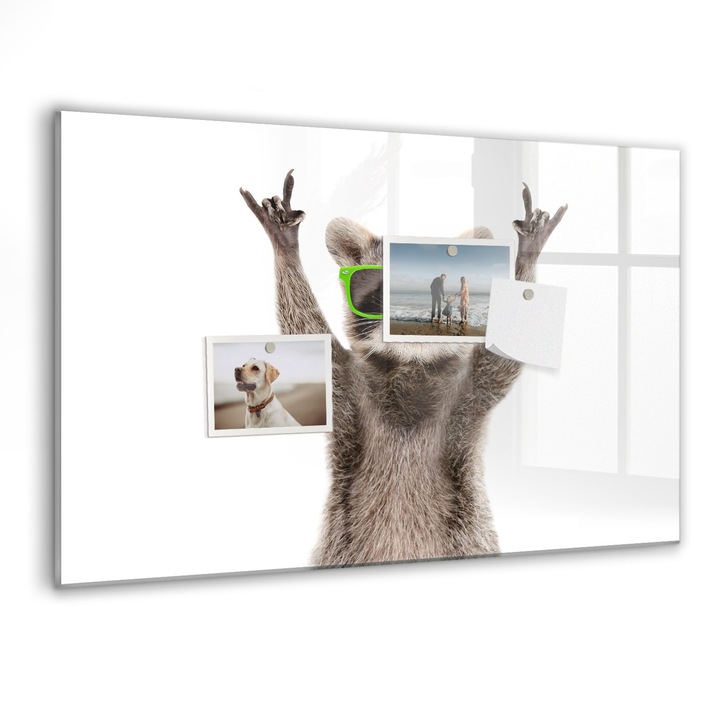 Tabla magnetica, Coloray, Saccid in ochelari, Multicolor, 60 x 40 cm, Magneti, Marker negru, 010640700010300088582