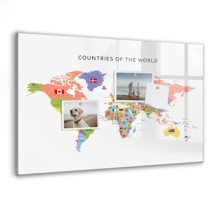 Tabla magnetica, Coloray, Harta pavilionului, Multicolor, 60 x 40 cm, Magneti, Marker negru, 010640700010300088587