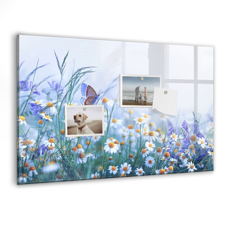 Tabla magnetica, Coloray, Fluture in pajiste, Multicolor, 60 x 40 cm, Magneti, Marker negru, 010640700010300088565