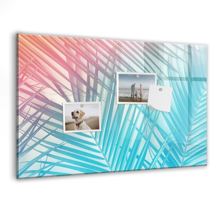 Tabla magnetica, Coloray, Palma tropicala, Multicolor, 60 x 40 cm, Magneti, Marker negru, 010640700010300088578