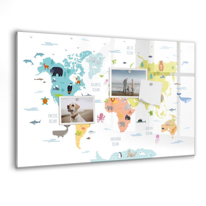 Tabla magnetica, Coloray, Harta lumii animalelor, Multicolor, 60 x 40 cm, Magneti, Marker negru, 010640700010300088575