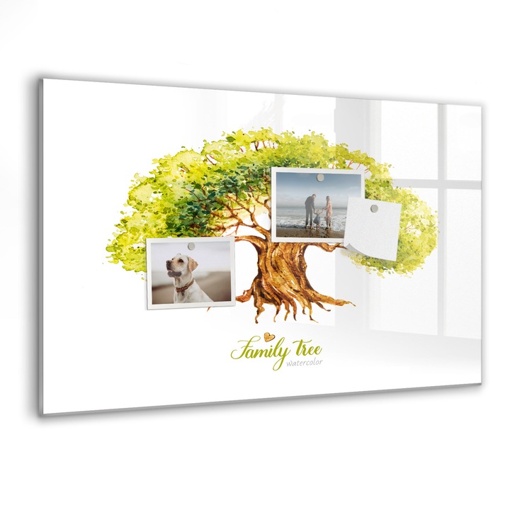 Tabla magnetica, Coloray, Arbore genealogic, Alb, 60 x 40 cm, Magneti, Marker negru, 010640700010300088542