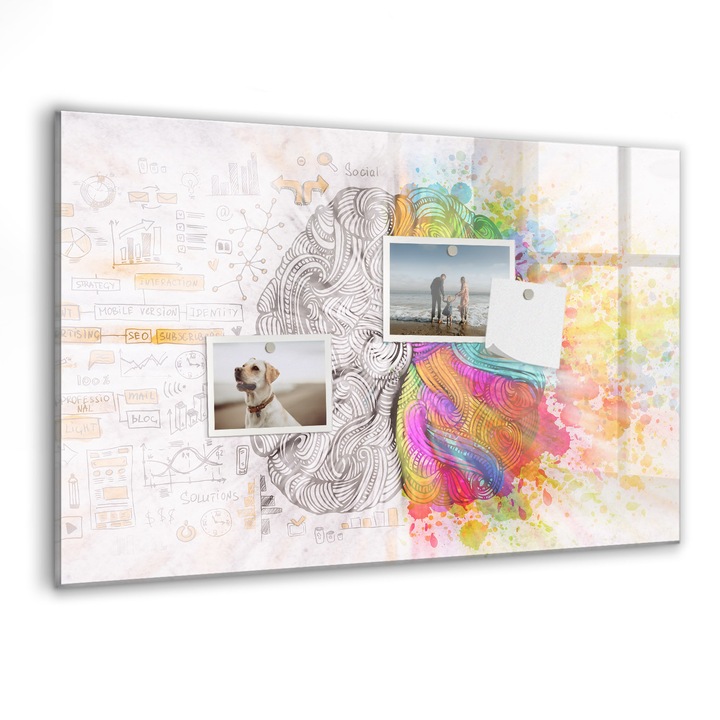 Tabla magnetica, Coloray, Abstractizarea creierului, Multicolor, 60 x 40 cm, Magneti, Marker negru, 010640700010300088588