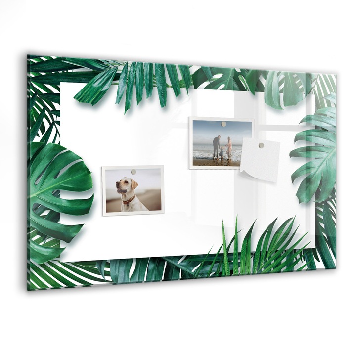 Tabla magnetica, Coloray, Frunze tropicale, Verde, 60 x 40 cm, Magneti, Marker negru, 010640700010300088615