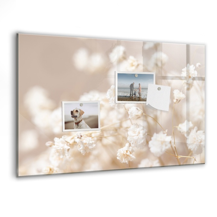 Tabla magnetica, Coloray, Flori albe mici, Alb, 60 x 40 cm, Magneti, Marker negru, 010640700010300088544