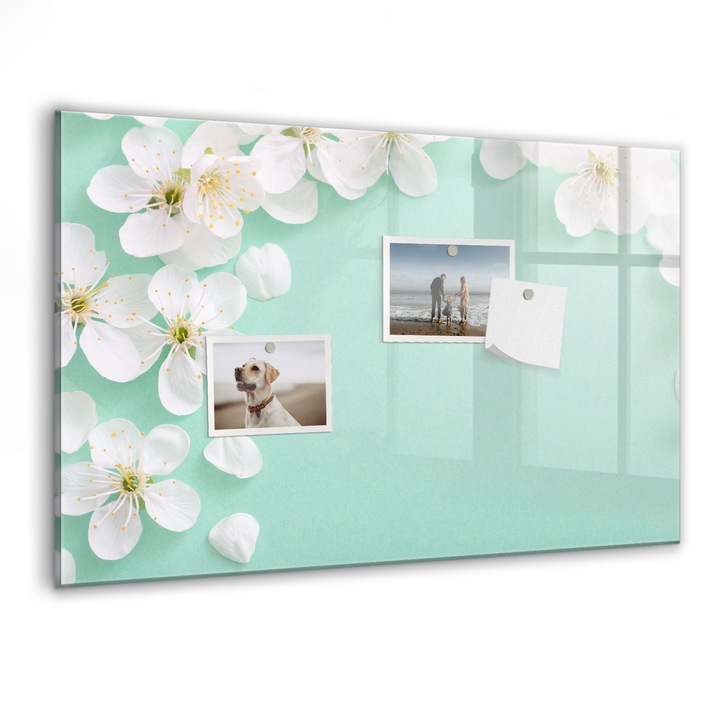 Tabla magnetica, Coloray, Margarete plutitoare, Turcoaz, 60 x 40 cm, Magneti, Marker negru, 010640700010300088496