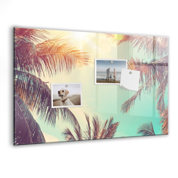 Tabla magnetica, Coloray, Palmieri tropicali, Multicolor, 60 x 40 cm, Magneti, Marker negru, 010640700010300088465