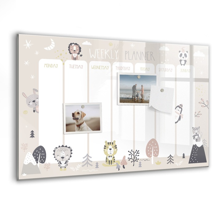 Tabla magnetica, Coloray, Planul saptamanal, Multicolor, 60 x 40 cm, Magneti, Marker negru, 010640700010300088444