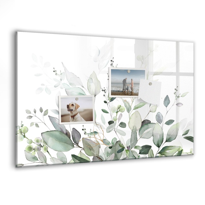 Tabla magnetica, Coloray, Planturi frunze, Verde, 60 x 40 cm, Magneti, Marker negru, 010640700010300088421