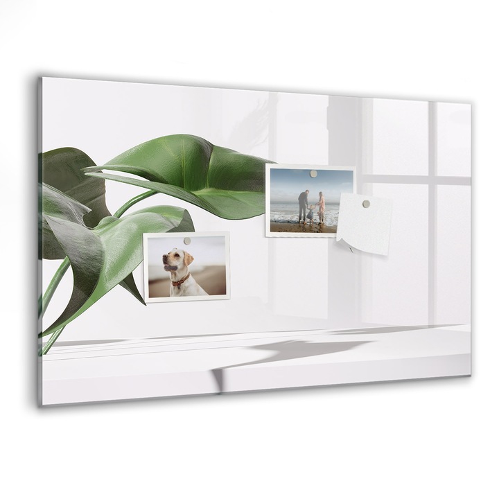 Tabla magnetica, Coloray, Frunze abstracte, Verde, 60 x 40 cm, Magneti, Marker negru, 010640700010300088434