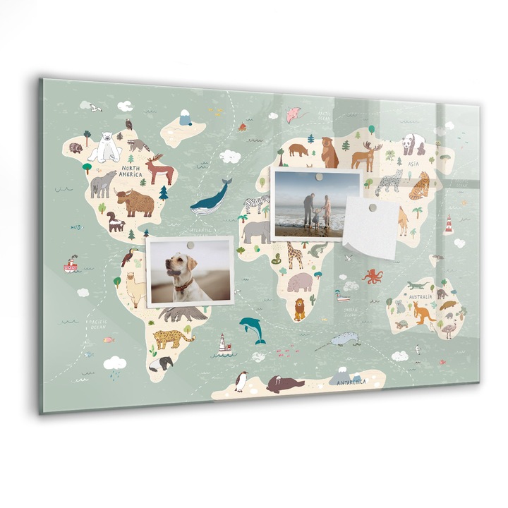 Tabla magnetica, Coloray, Harta animalelor lumii, Multicolor, 60 x 40 cm, Magneti, Marker negru, 010640700010300088438