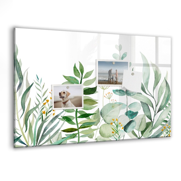 Tabla magnetica, Coloray, Frunze de acuarela, Verde, 60 x 40 cm, Magneti, Marker negru, 010640700010300088407