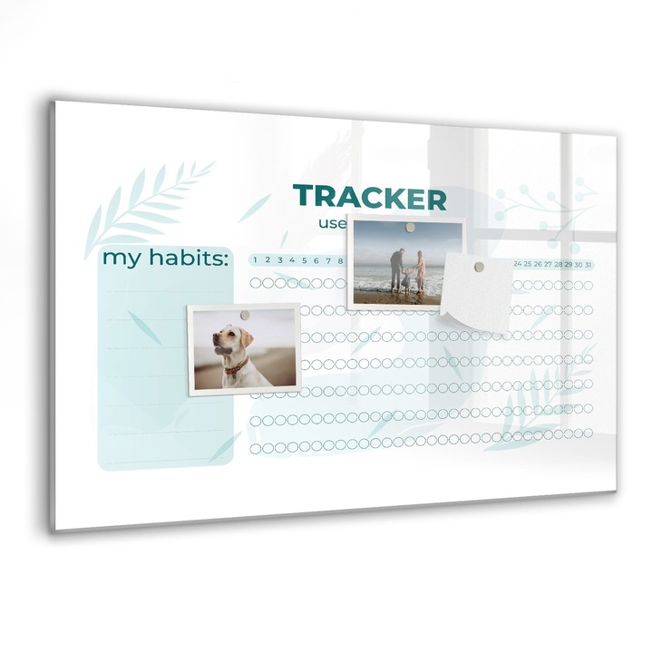 Tabla magnetica, Coloray, Planificator Habk, Verde, 60 x 40 cm, Magneti, Marker negru, 010640700010300088375