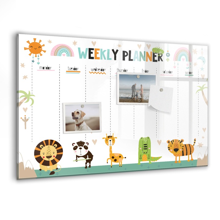 Tabla magnetica, Coloray, Animale saptamanale Planer, Multicolor, 60 x 40 cm, Magneti, Marker negru, 010640700010300088383
