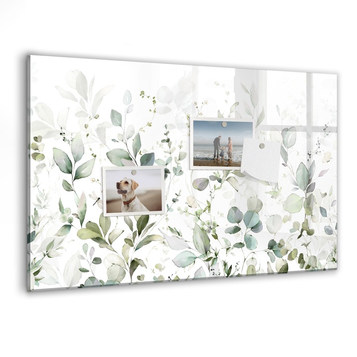 Tabla magnetica, Coloray, Planturi frunze, Verde, 60 x 40 cm, Magneti, Marker negru, 010640700010300088348