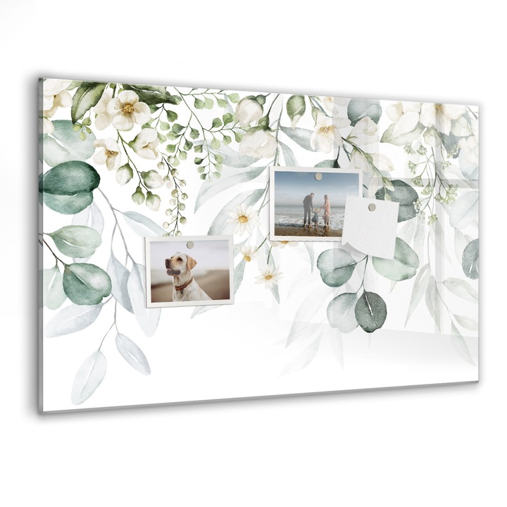 Tabla magnetica, Coloray, Plante naturale, Verde, 60 x 40 cm, Magneti, Marker negru, 010640700010300088310