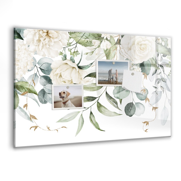 Tabla magnetica, Coloray, Natura, Verde, 60 x 40 cm, Magneti, Marker negru, 010640700010300088307