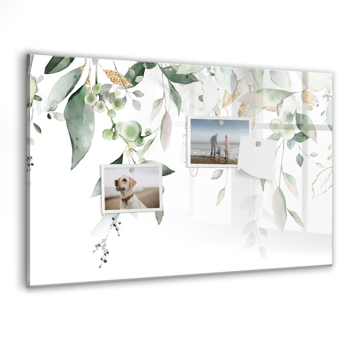 Tabla magnetica, Coloray, Planta Natura, Verde, 60 x 40 cm, Magneti, Marker negru, 010640700010300088422