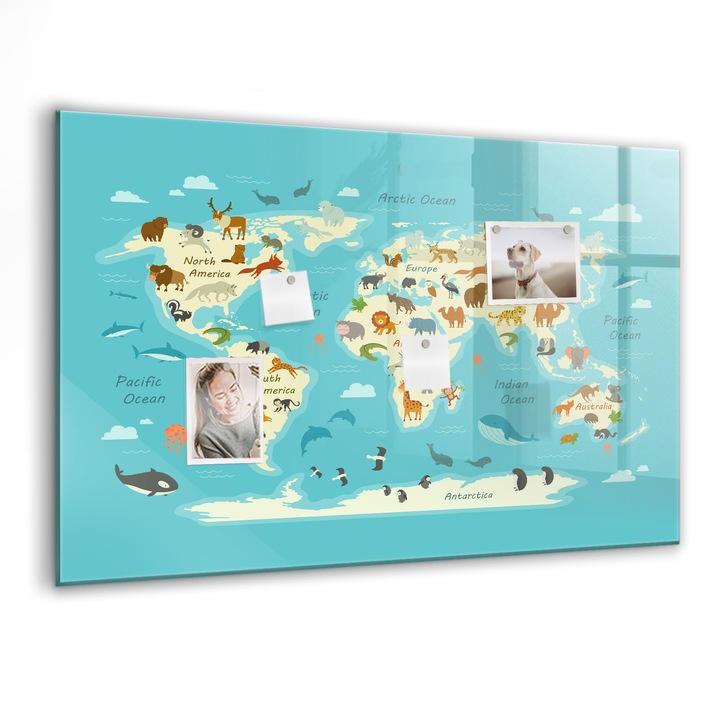 Tabla magnetica, Coloray, Harta lumii animalelor, Albastru, 90 x 60 cm, Magneti, Marker negru, 010640700060300088727