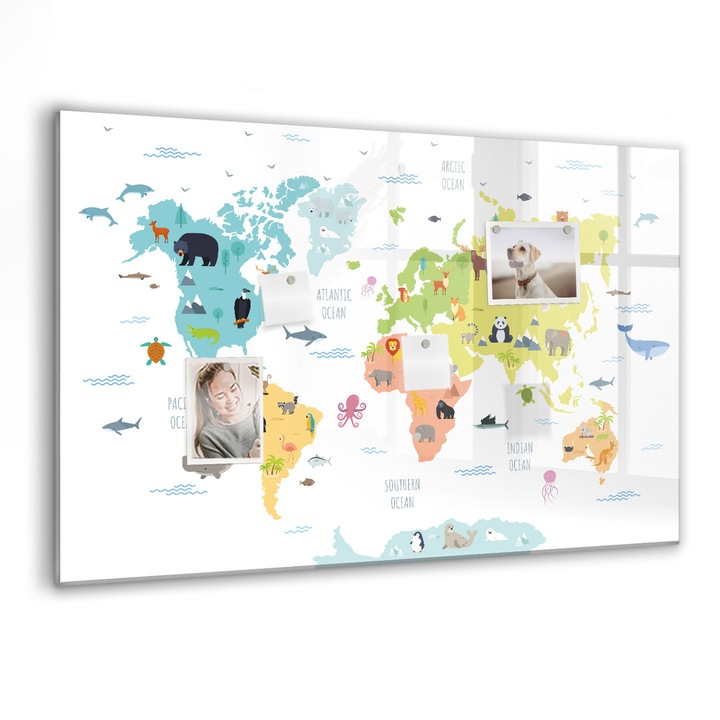 Tabla magnetica, Coloray, Harta lumii animalelor, Multicolor, 90 x 60 cm, Magneti, Marker negru, 010640700060300088575