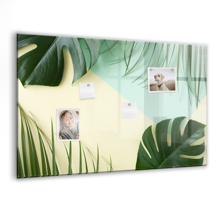 Tabla magnetica, Coloray, Frunze monstru, Verde, 90 x 60 cm, Magneti, Marker negru, 010640700060300088577