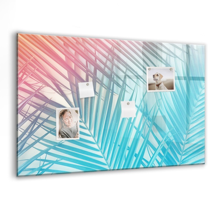 Tabla magnetica, Coloray, Palma tropicala, Multicolor, 90 x 60 cm, Magneti, Marker negru, 010640700060300088578