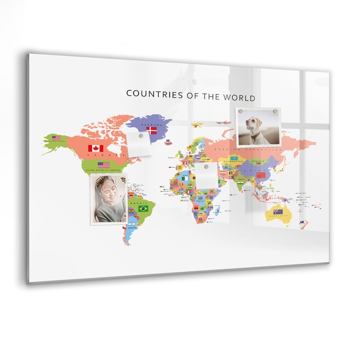 Tabla magnetica, Coloray, Harta pavilionului, Multicolor, 90 x 60 cm, Magneti, Marker negru, 010640700060300088587