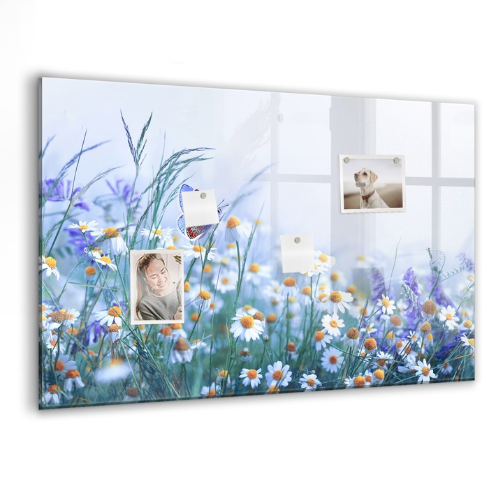 Tabla magnetica, Coloray, Fluture in pajiste, Multicolor, 90 x 60 cm, Magneti, Marker negru, 010640700060300088565