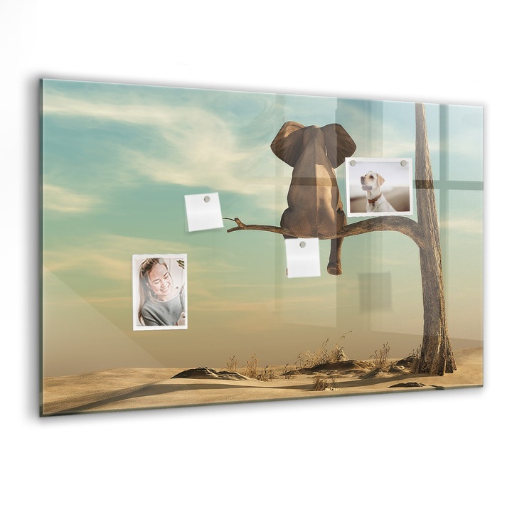 Tabla magnetica, Coloray, Elefantul de pe copac, Multicolor, 90 x 60 cm, Magneti, Marker negru, 010640700060300088574