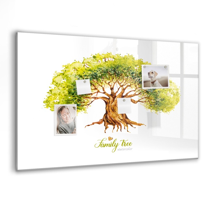 Tabla magnetica, Coloray, Arbore genealogic, Alb, 90 x 60 cm, Magneti, Marker negru, 010640700060300088542