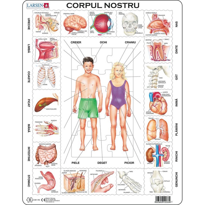 Puzzle Corpul Nostru, 35 Piese Larsen LROB1-RO
