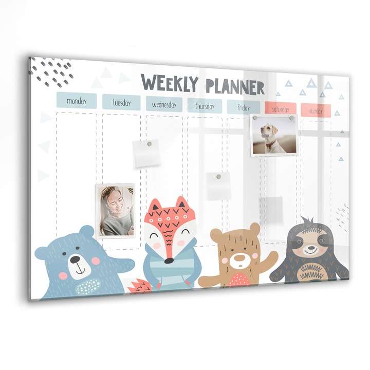 Tabla magnetica, Coloray, Program saptamanal, Alb, 90 x 60 cm, Magneti, Marker negru, 010640700060300088481